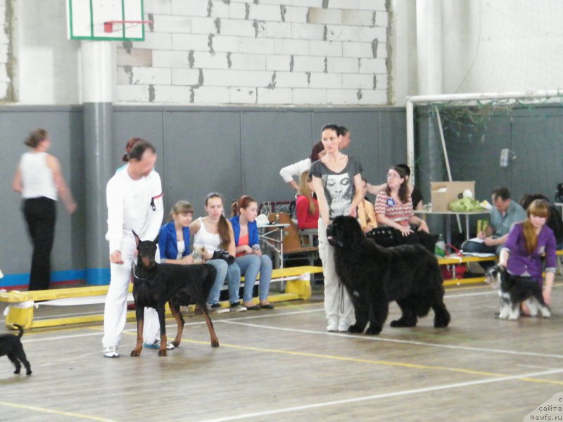 Фотография № 155133