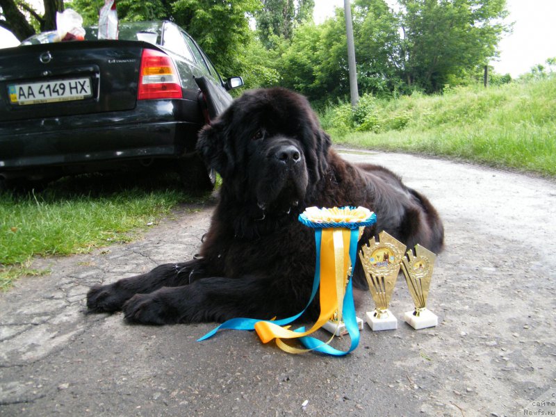 Фотография № 155135