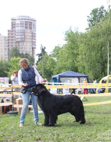 Фотография № 155136