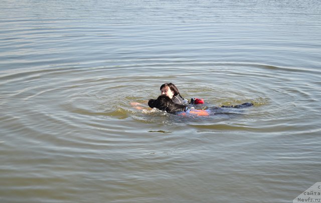 Фотография № 155162