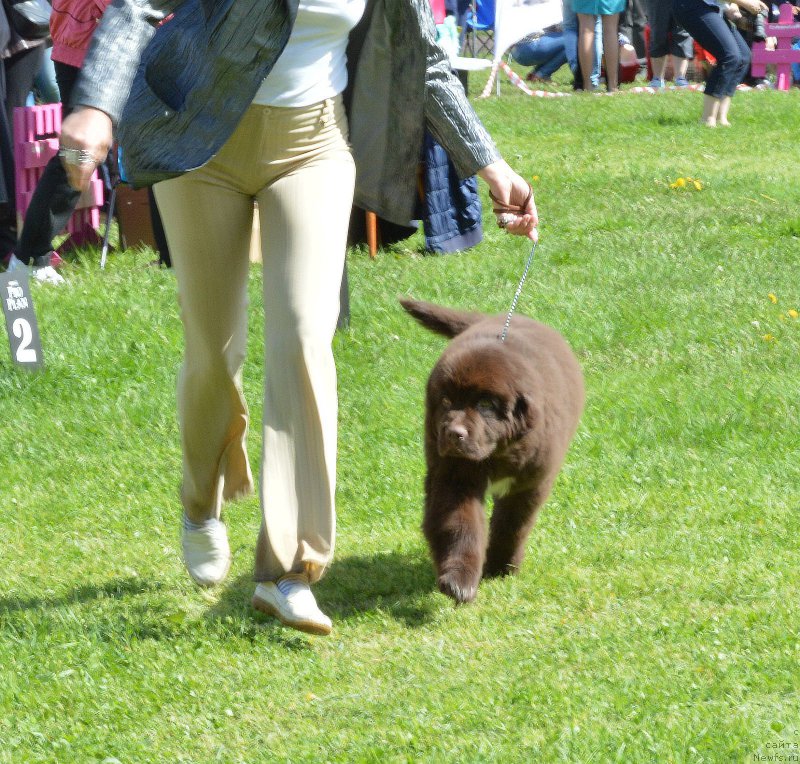 Фотография № 155181