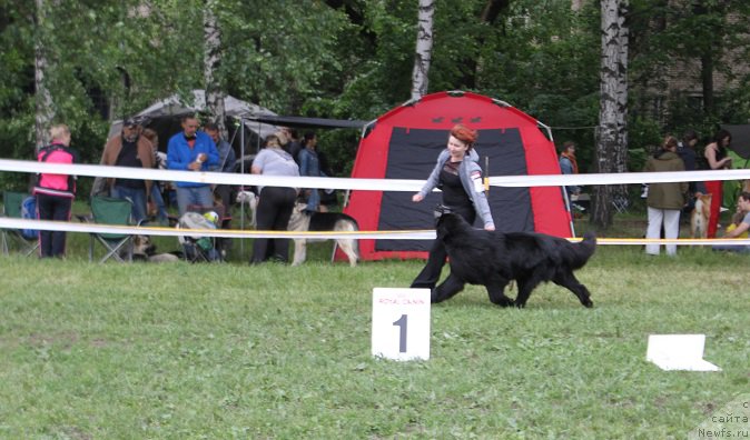 Фотография № 155183