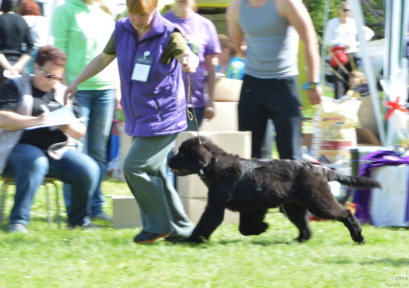 Фотография № 155186