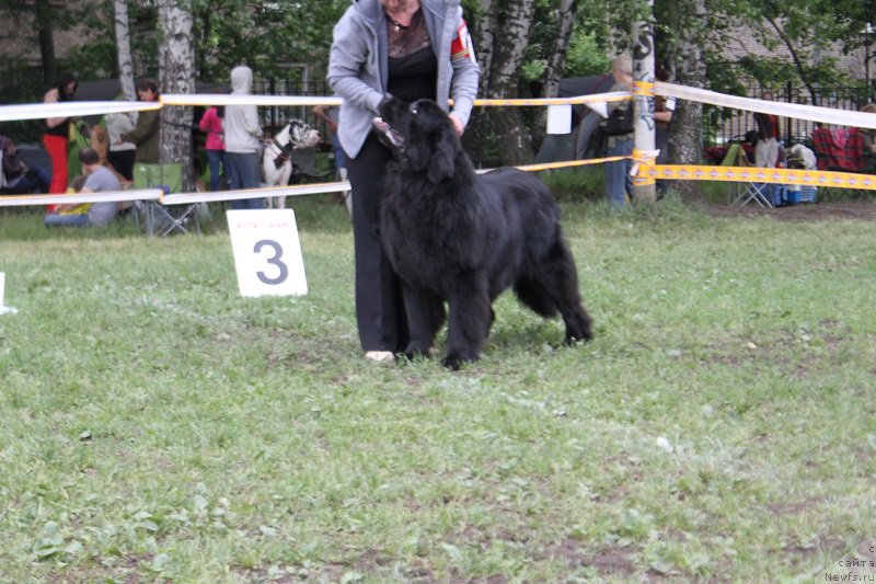 Фотография № 155187