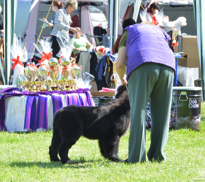 Фотография № 155188