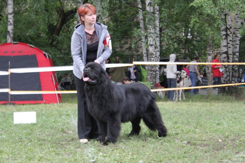 Фотография № 155189