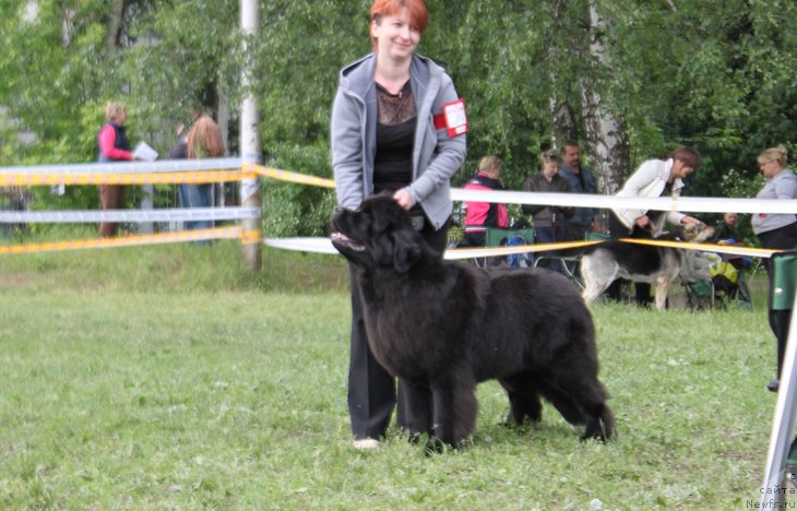 Фотография № 155191