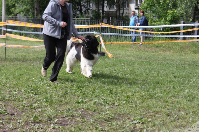 Фотография № 155193