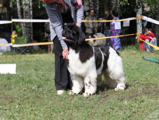 Фотография № 155198