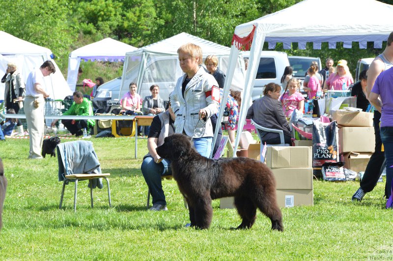 Фотография № 155204