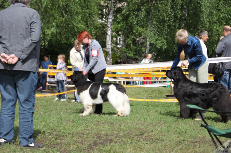 Фотография № 155205