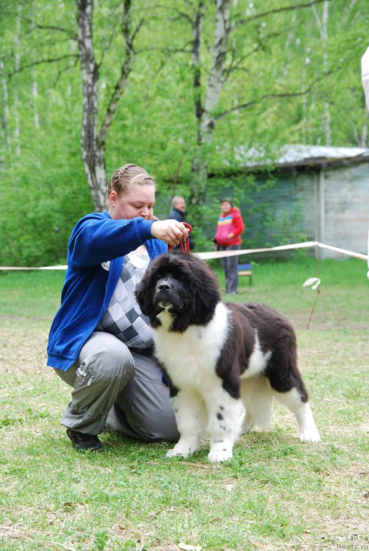 Фотография № 155236