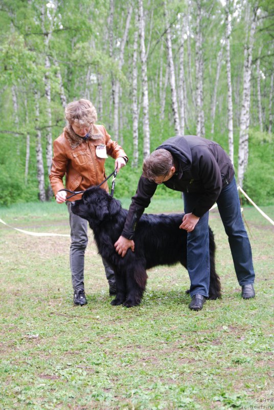 Фотография № 155243