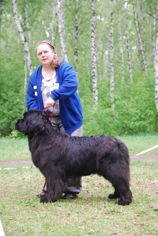 Фотография № 155245