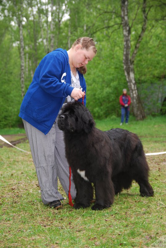 Фотография № 155246