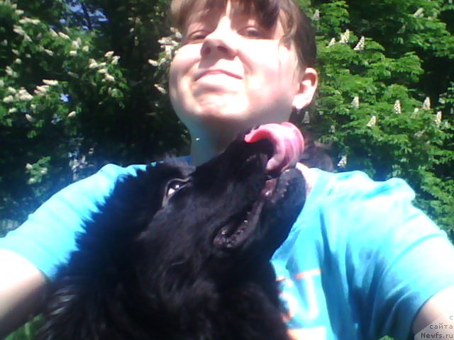 Фотография № 155267