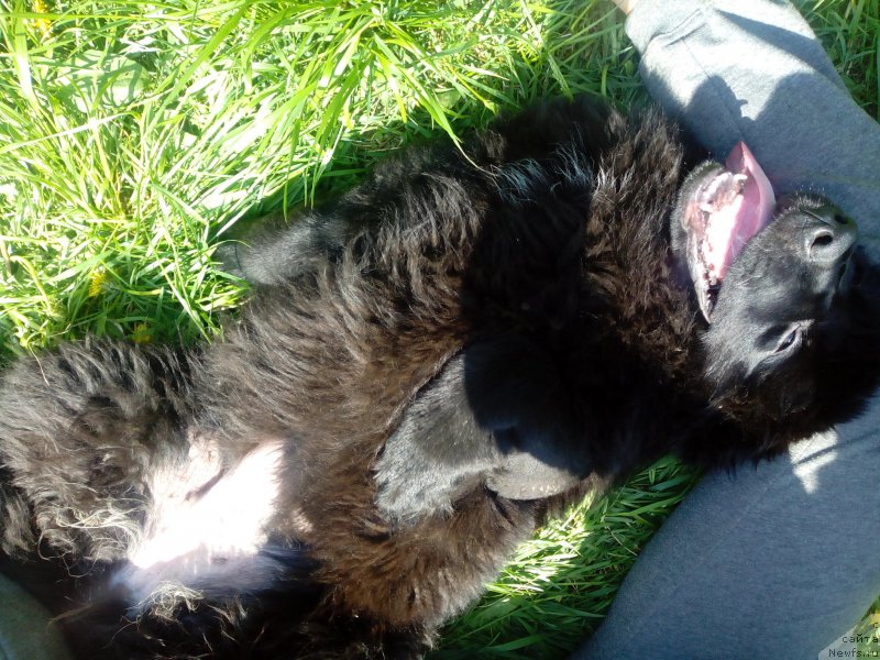 Фотография № 155269