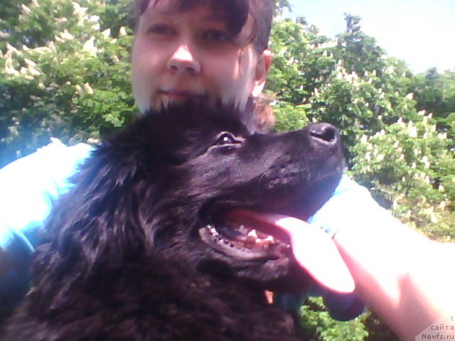 Фотография № 155270