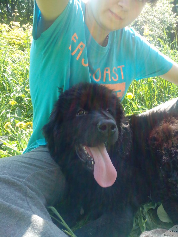 Фотография № 155271