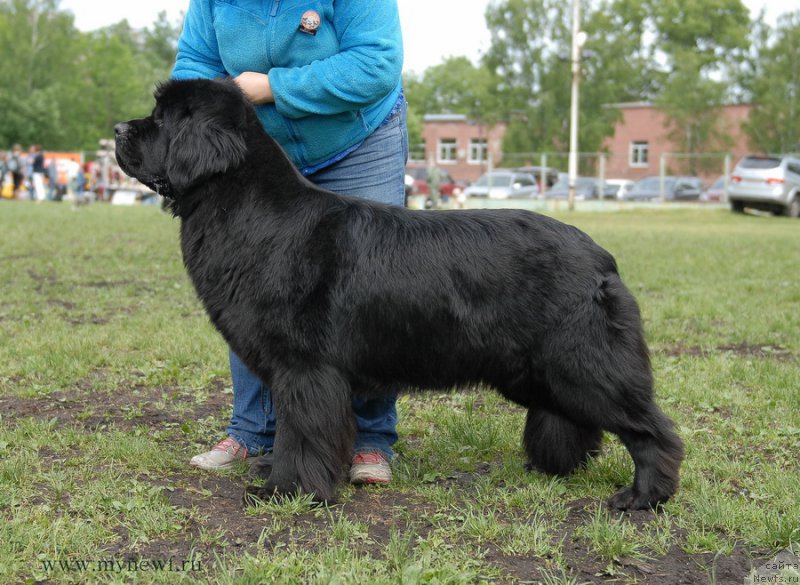 Фотография № 155274