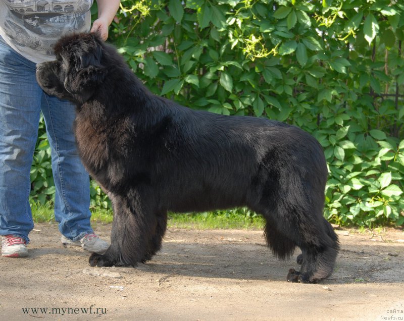 Фотография № 155281