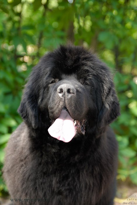 Фотография № 155291