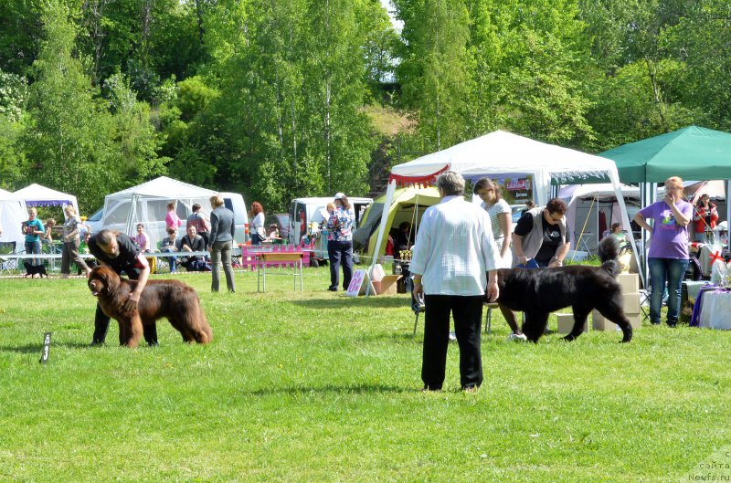 Фотография № 155293