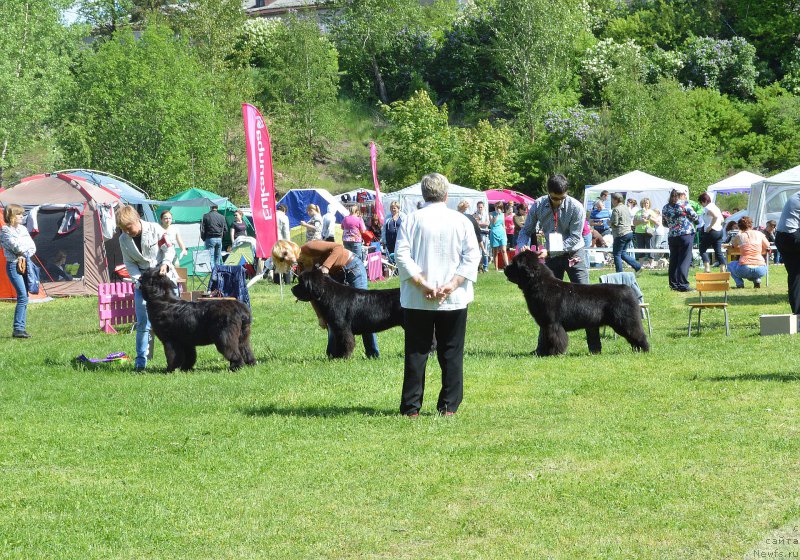 Фотография № 155299