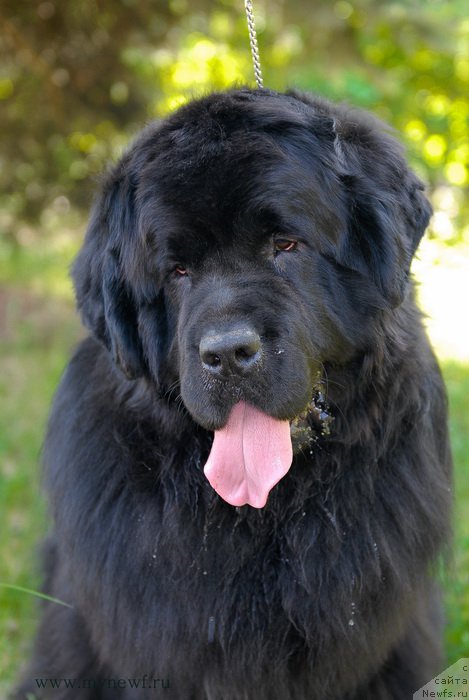 Фотография № 155312