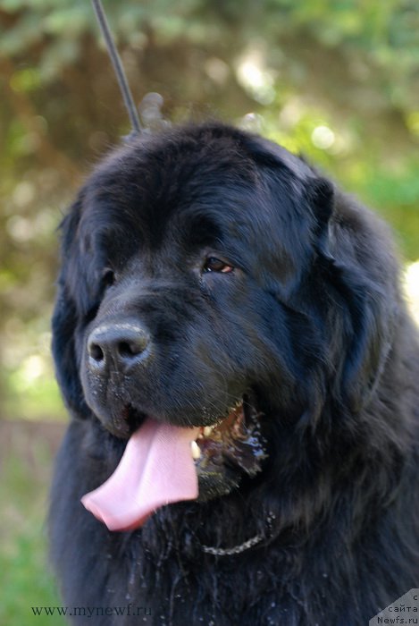 Фотография № 155315