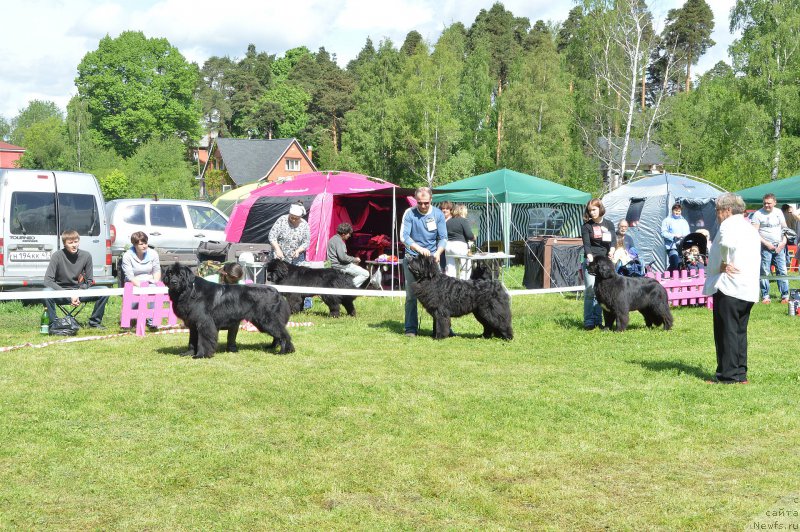 Фотография № 155329