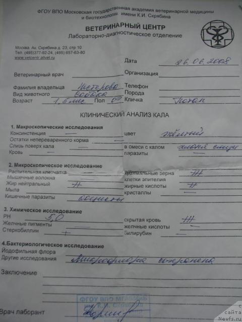 Фотография № 15535