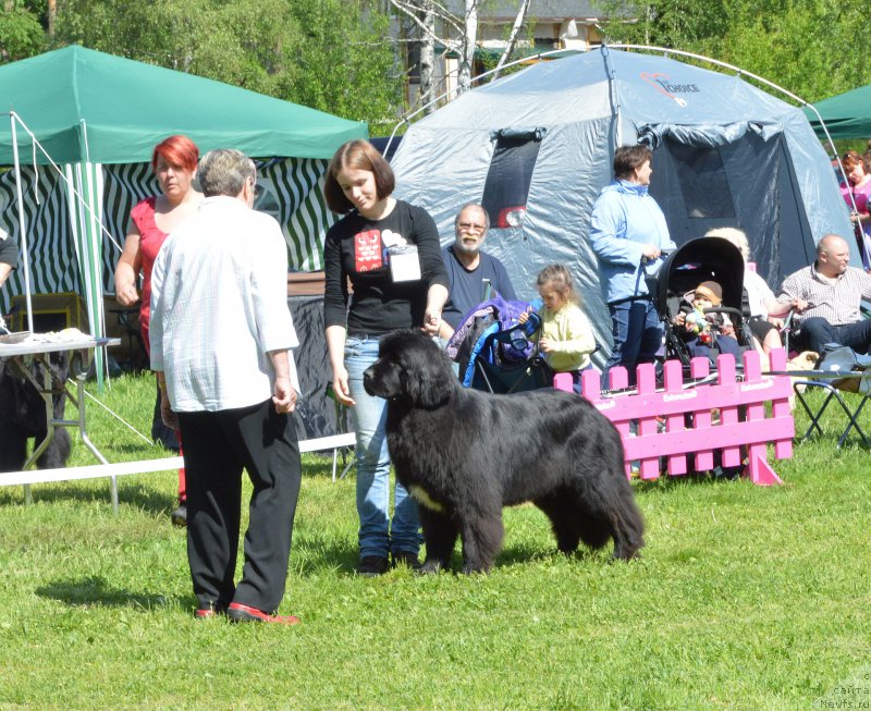 Фотография № 155355