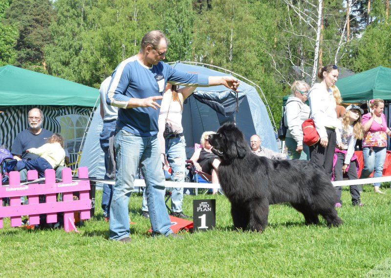 Фотография № 155357