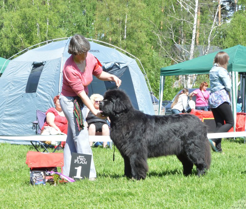 Фотография № 155358