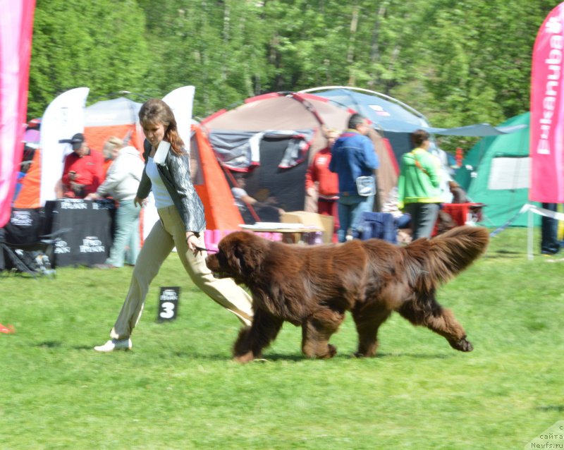 Фотография № 155363