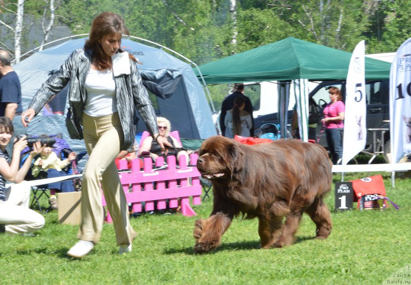 Фотография № 155365