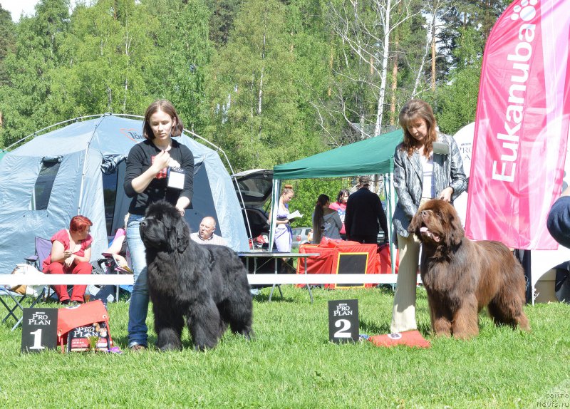 Фотография № 155371