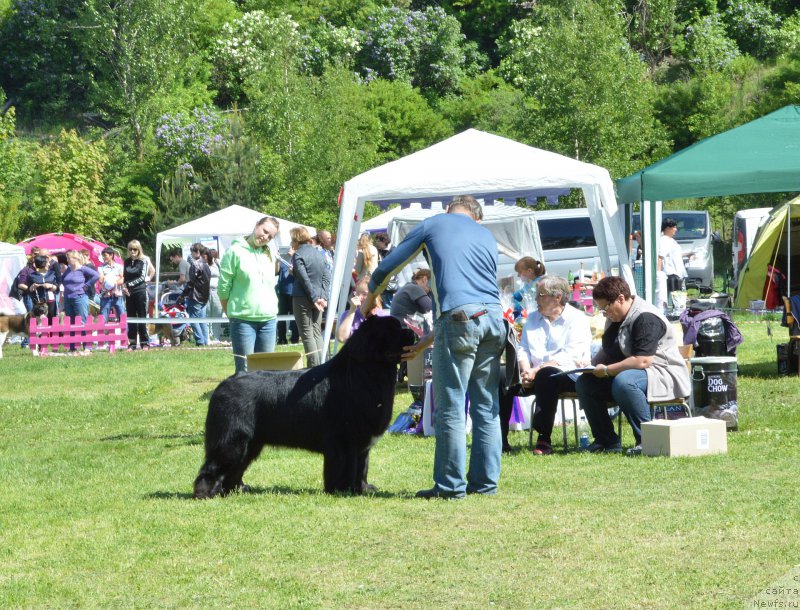 Фотография № 155372