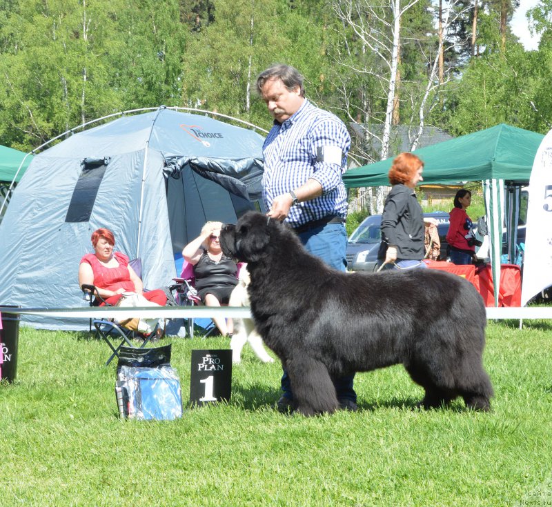 Фотография № 155373