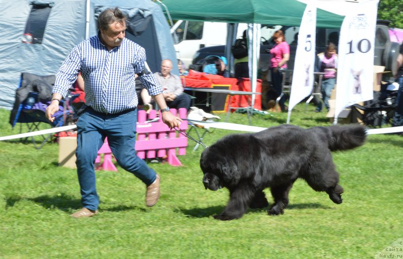 Фотография № 155374