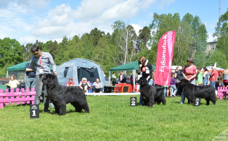 Фотография № 155376