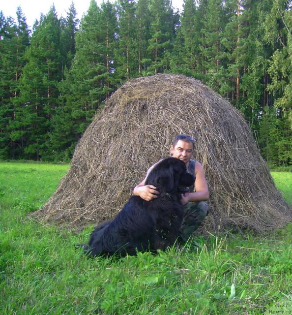 Фото: Олег Гагарин