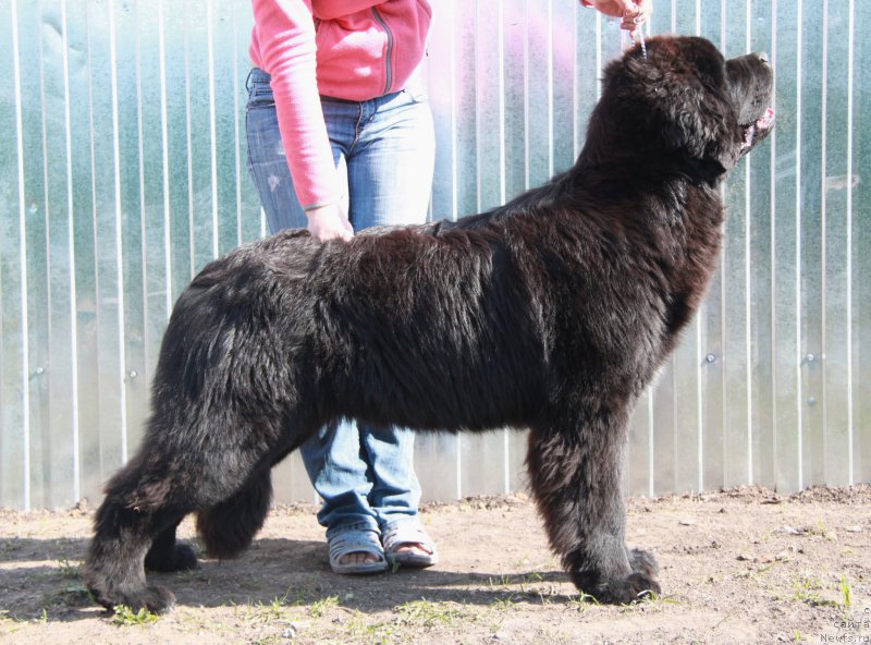 Фотография № 155399