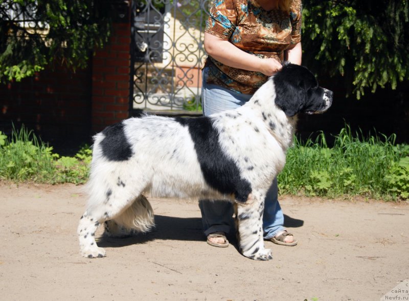 Фотография № 155409