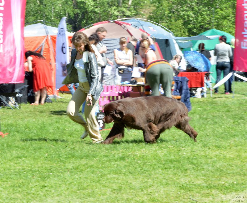 Фотография № 155424