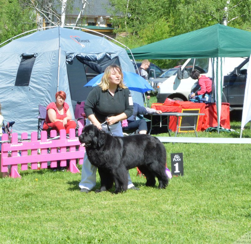 Фотография № 155428