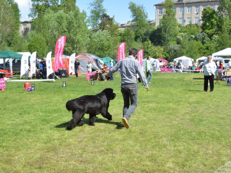 Фотография № 155433