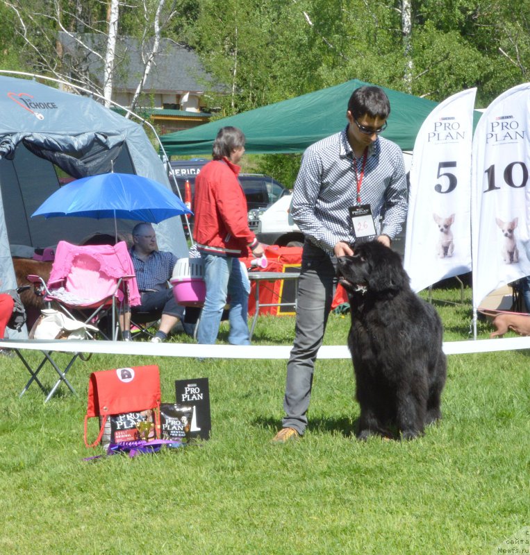 Фотография № 155434