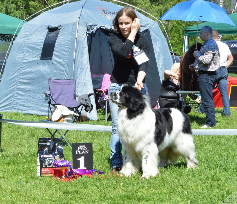 Фотография № 155439